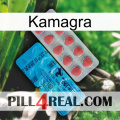 Kamagra new14